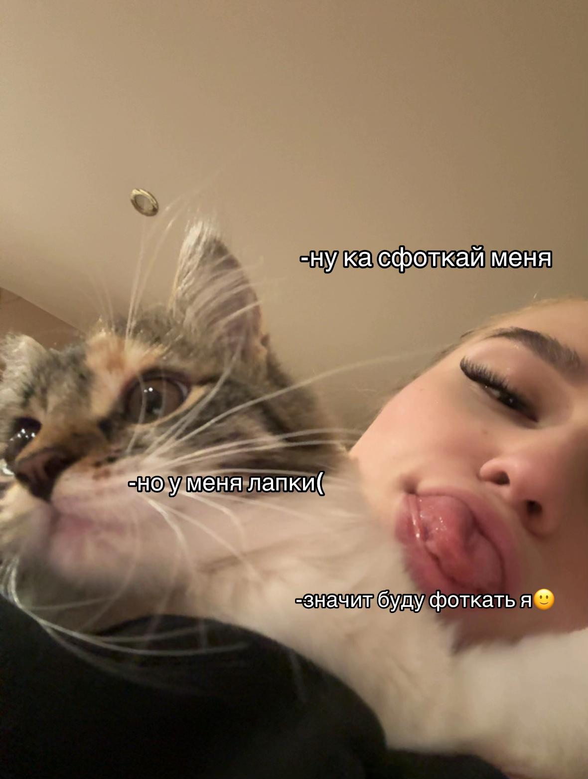 @kispis158