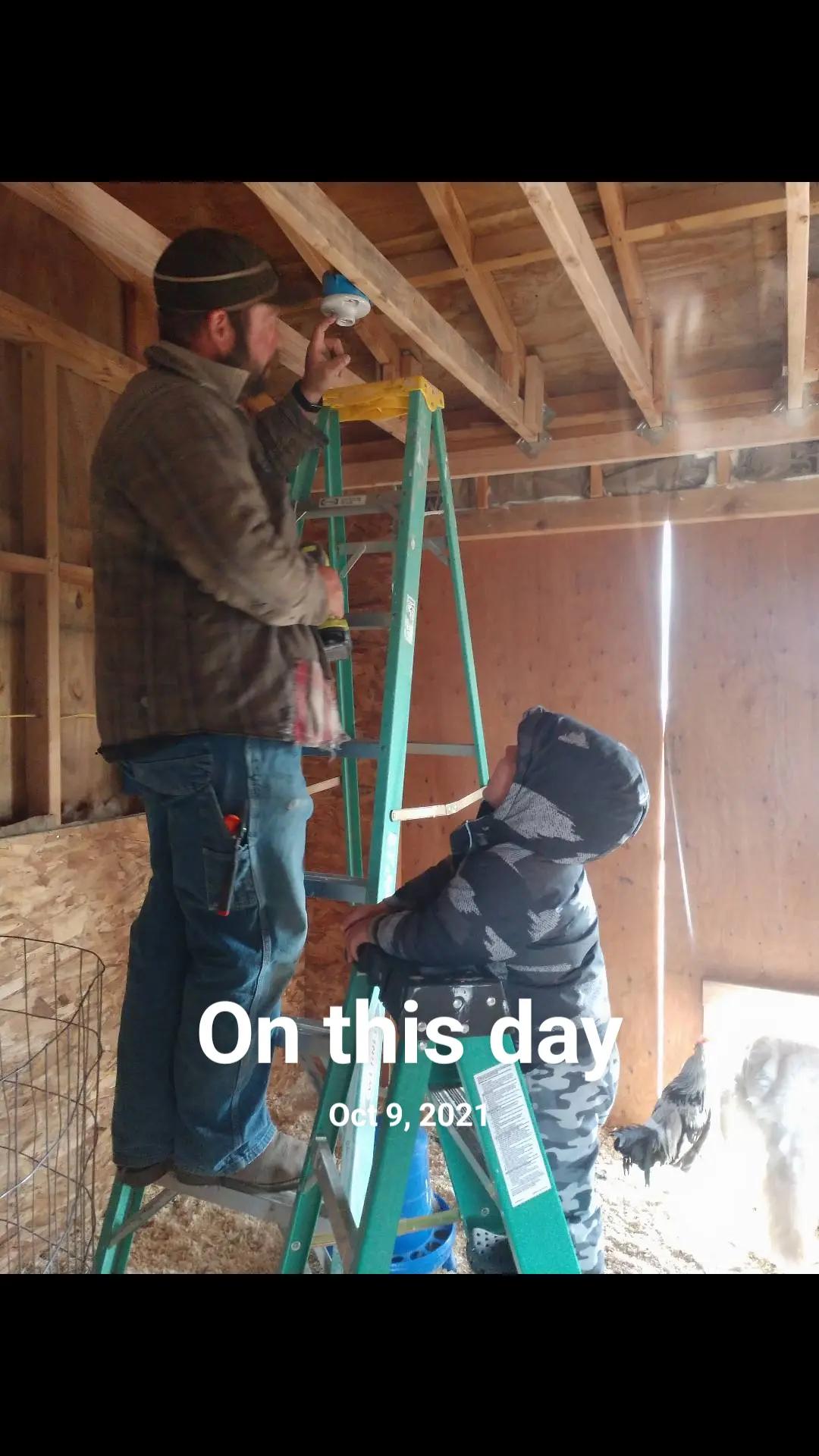 @thebeardedfamily1