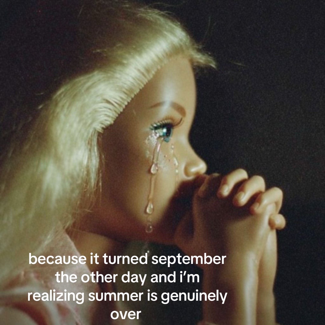 @taylor 🌙