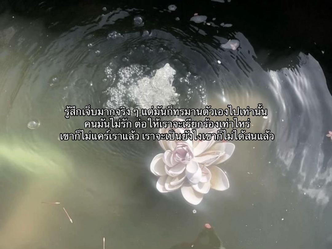 @𝓀𝓁𝑜𝓋𝑒𝓉𝑜𝓂 ‘ ㋖