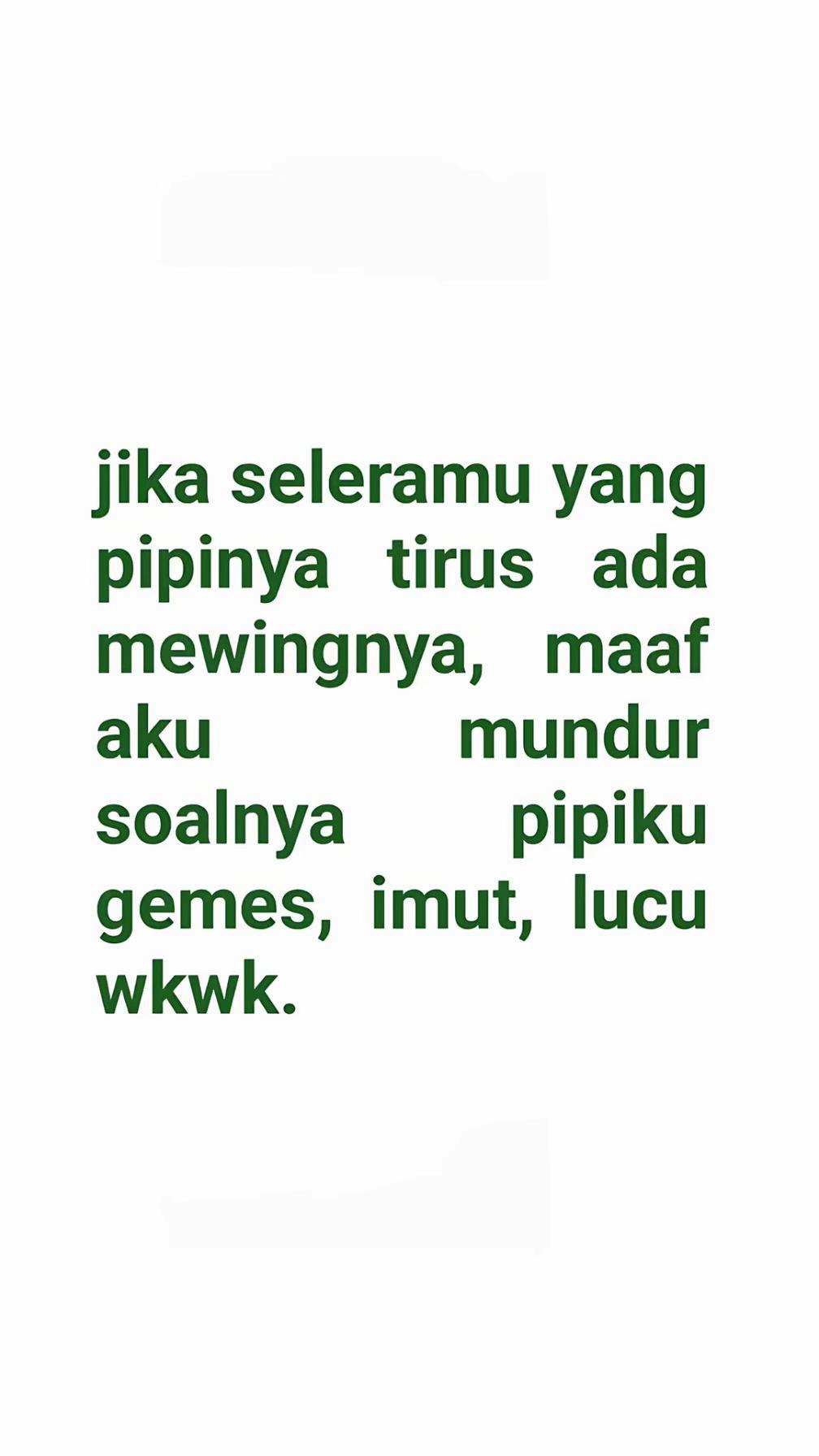 @insyi