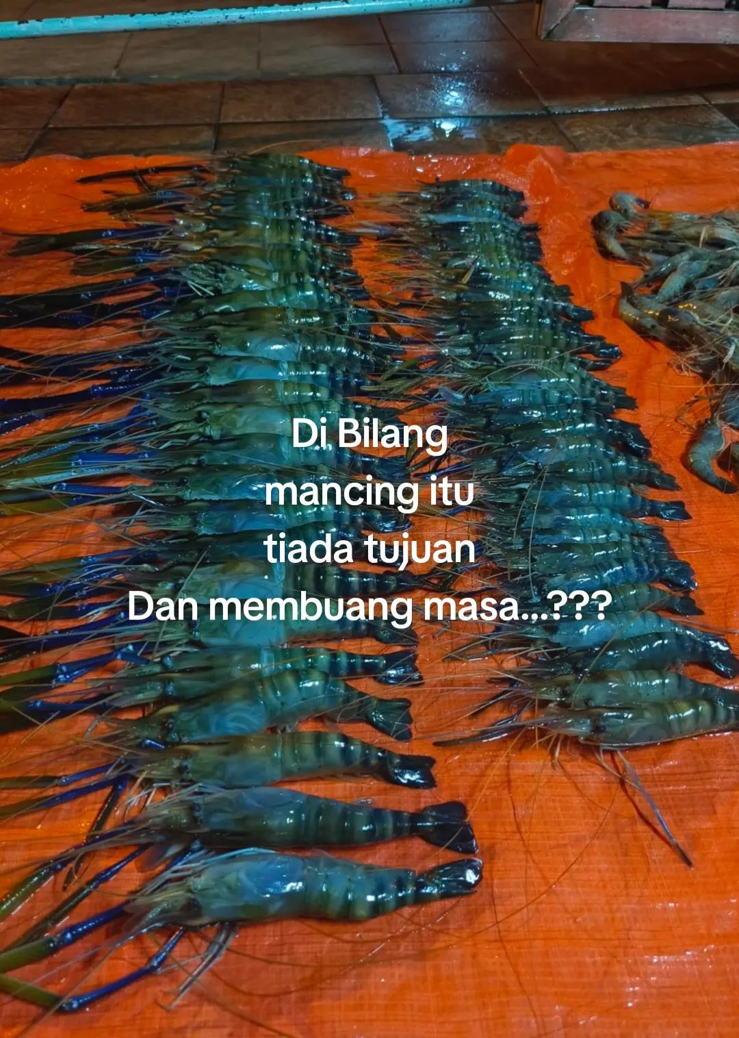 @🏴☠️ Lanun Baram 🏴☠️