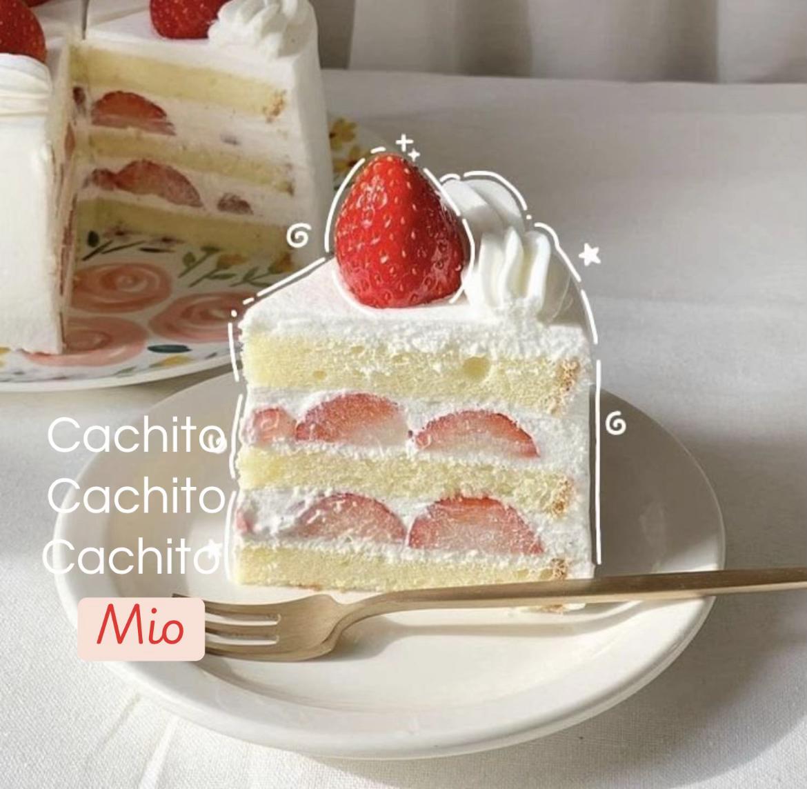@୨୧ ┆ 𝒜ᑲᑲᥡ ♥︎ ( 𝓢ᥲᥒᥲ ) ɞ