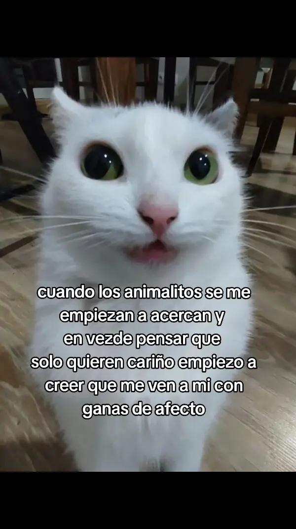 @secret_account...