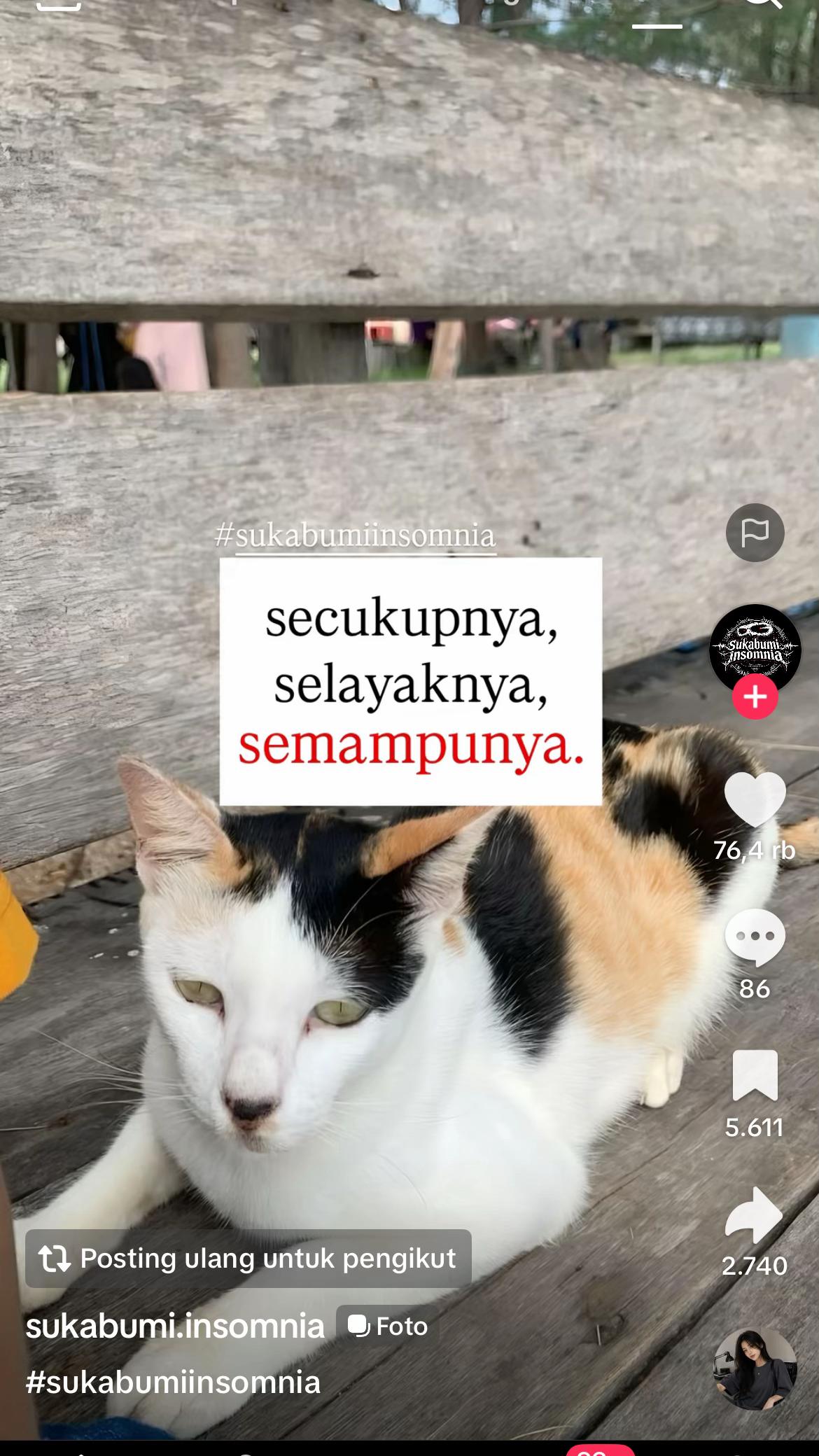 @Dina Puspita