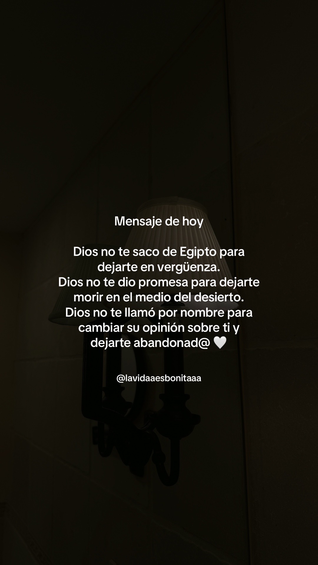 @vidabonita❤️&zwj;🩹