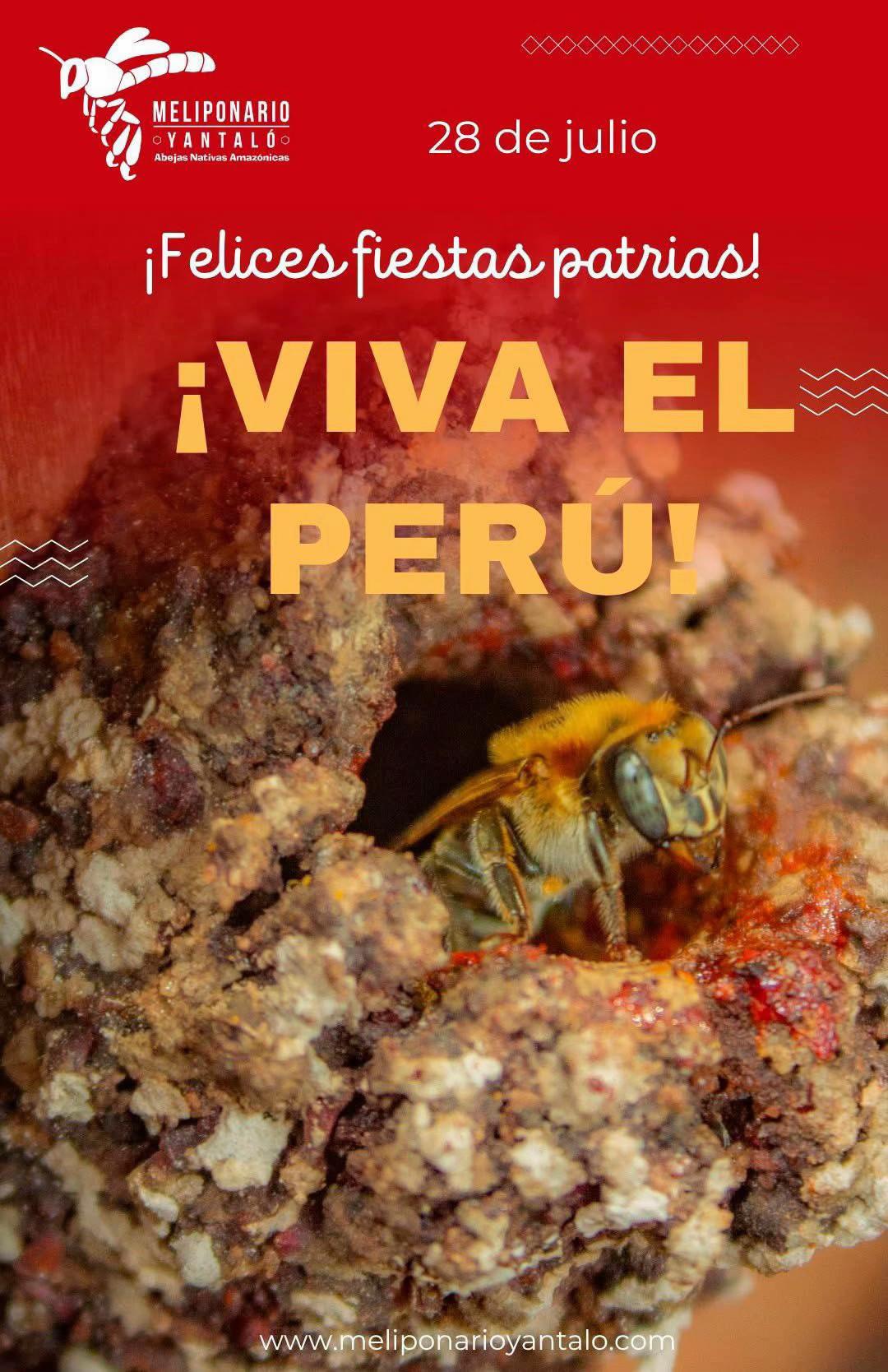 @MELIPONARIO YANTAL&Oacute;