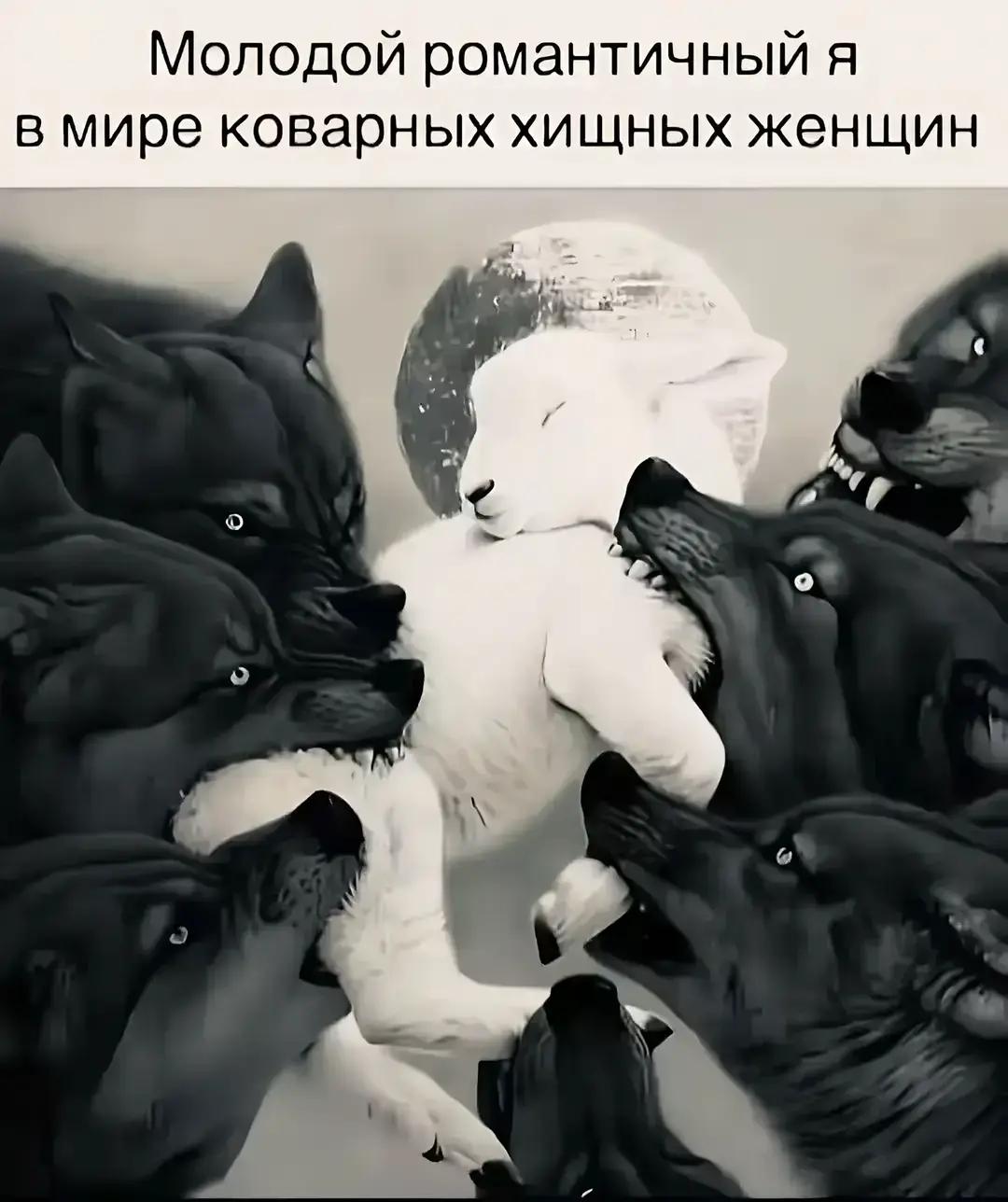@🚷🚷Vlad🚷🚷
