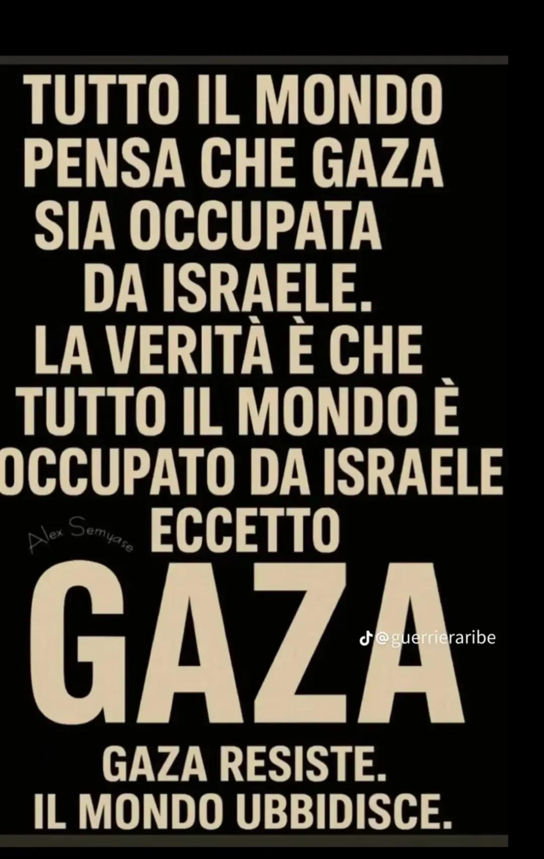 @Rosaria🇵🇸