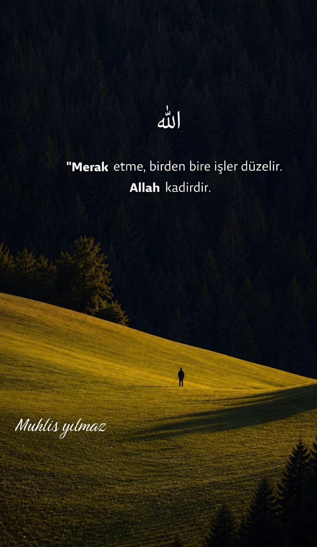 @Muhlis Yılmaz