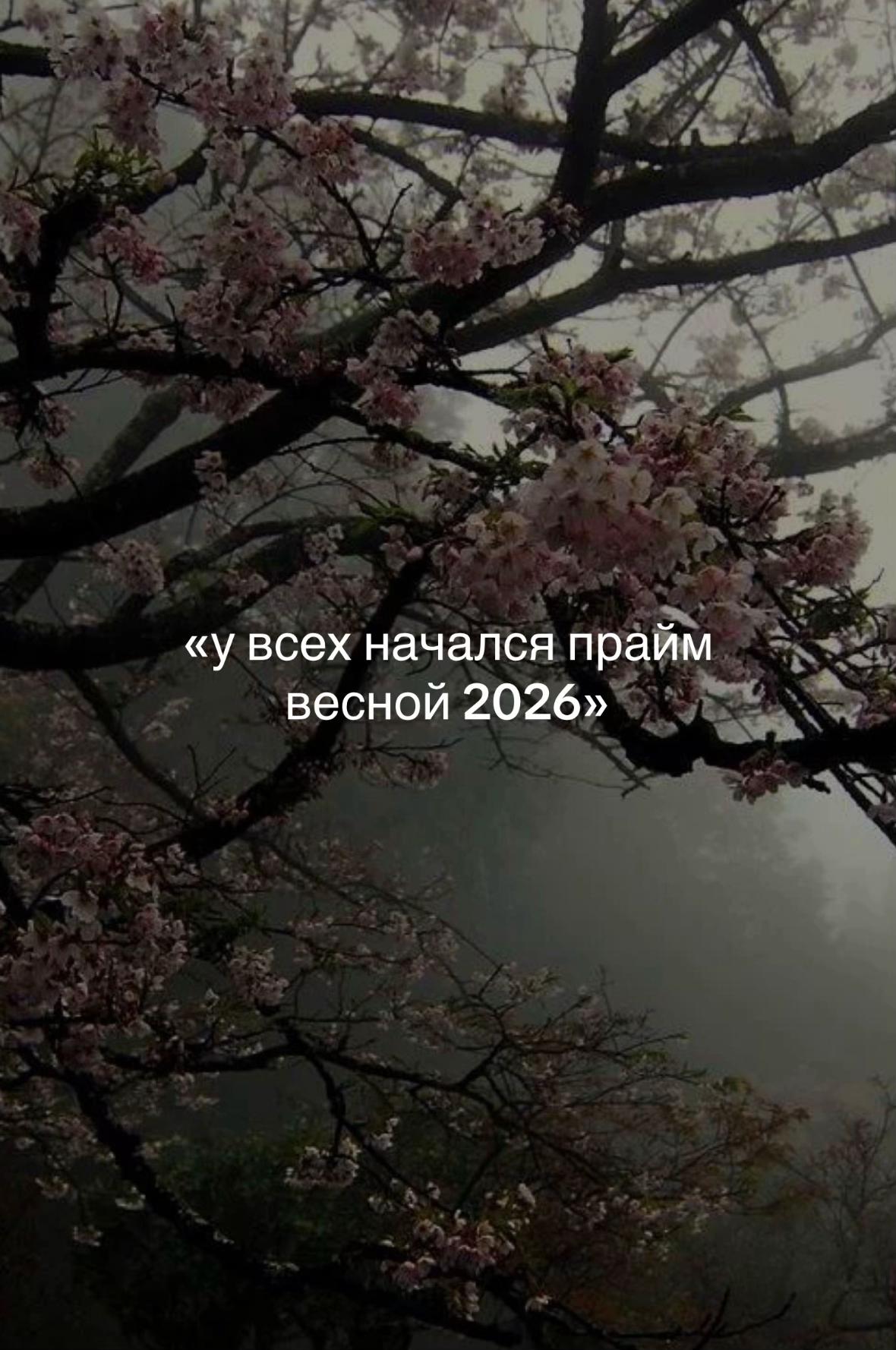 @Alinka kotik💔