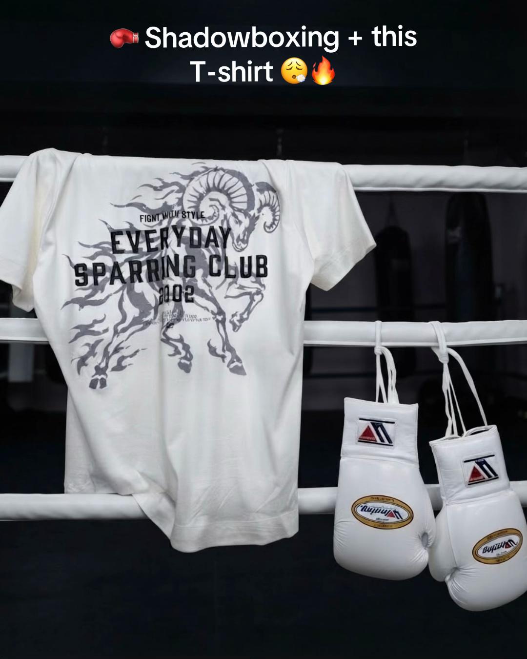 @Fight Store