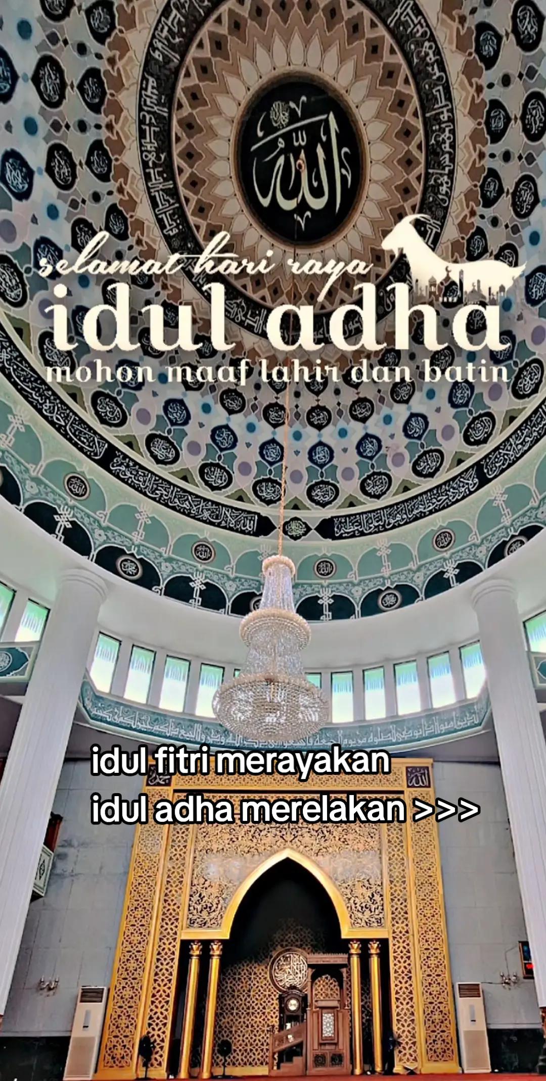 @Zulfian47