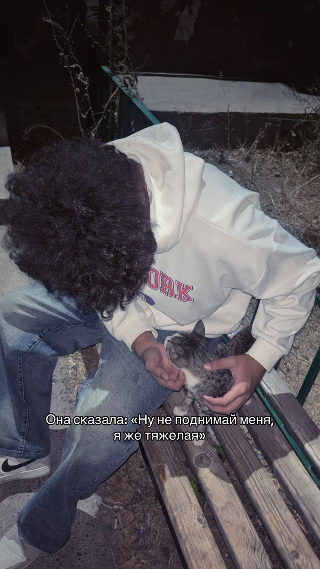@qaysar_