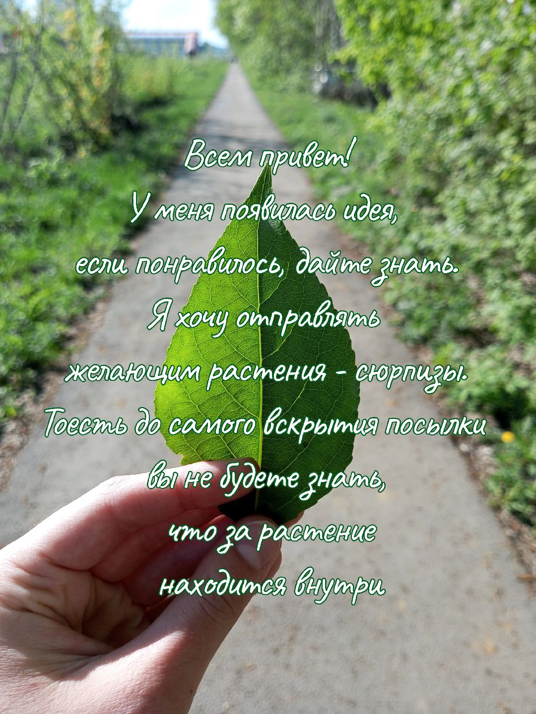 @mosungrass