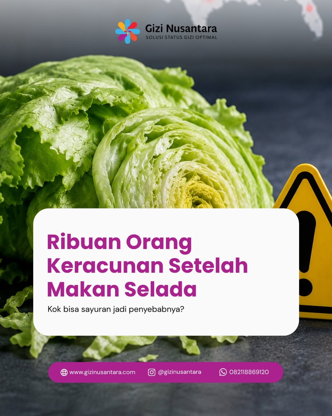 @Gizi Nusantara Official