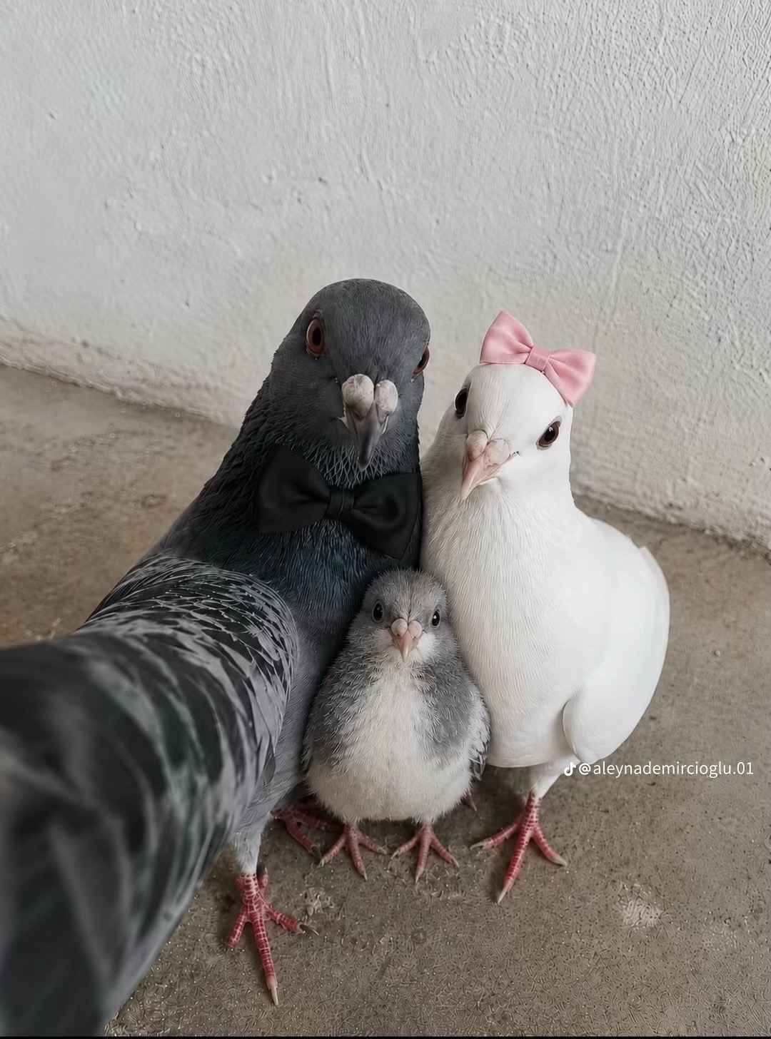 @DUYGU AYDOĞAN