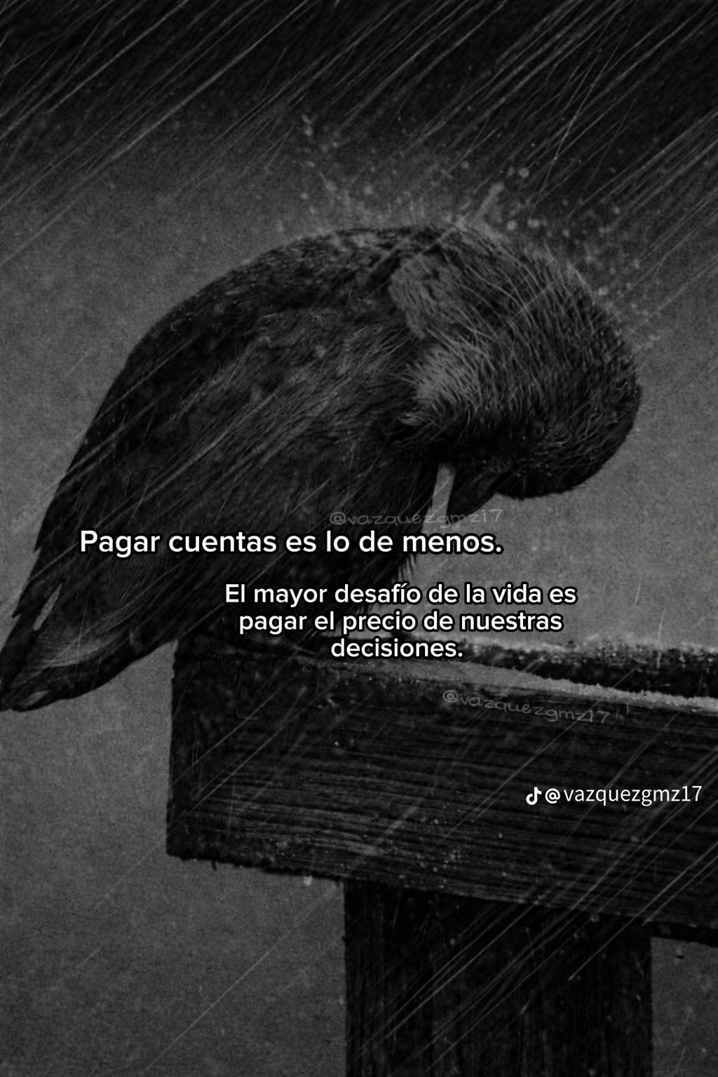 @🇬🇹El Chapincito Cutzal🇬🇹