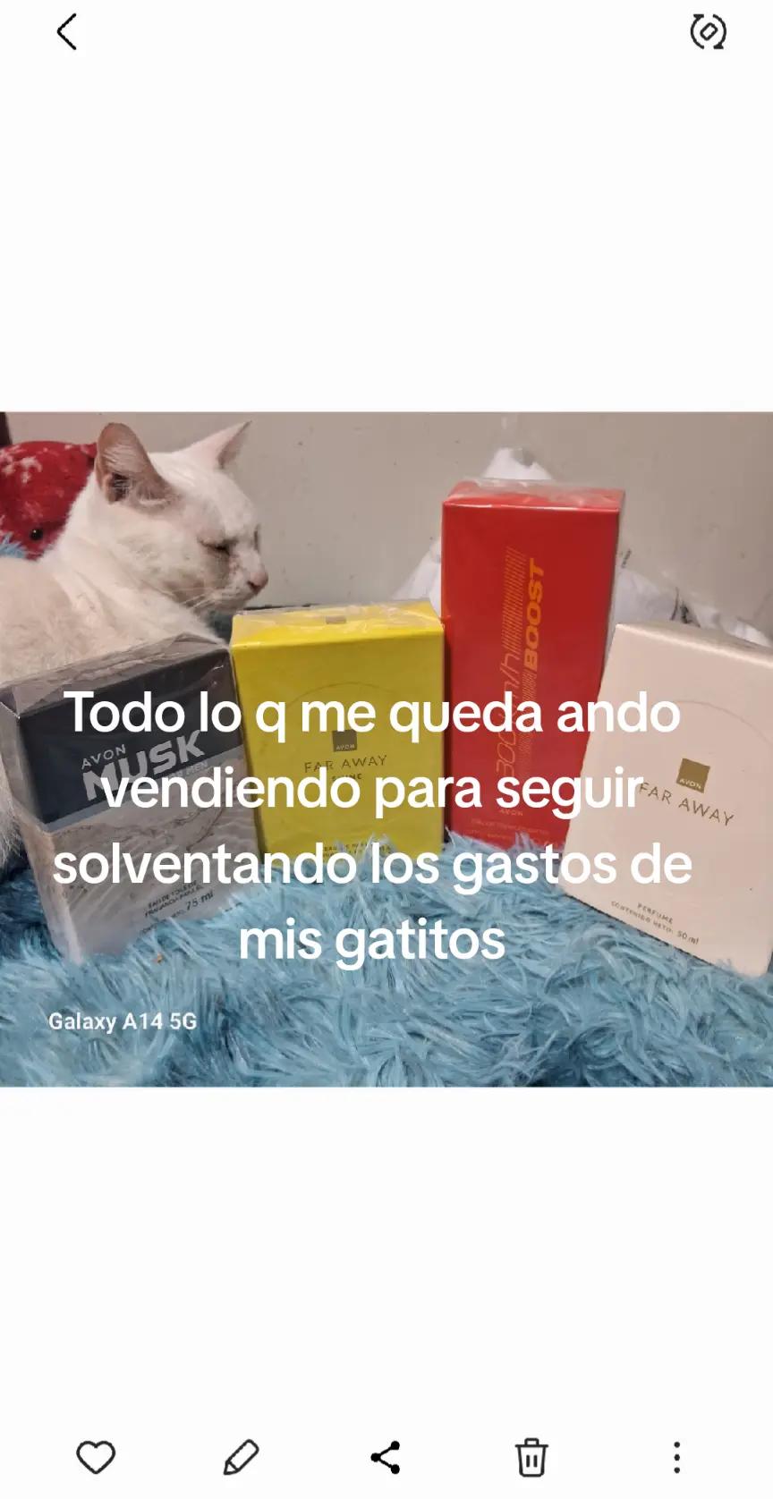 @Brillitos y Brillitos