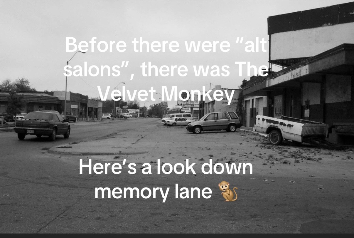 @Velvet Monkey Salons