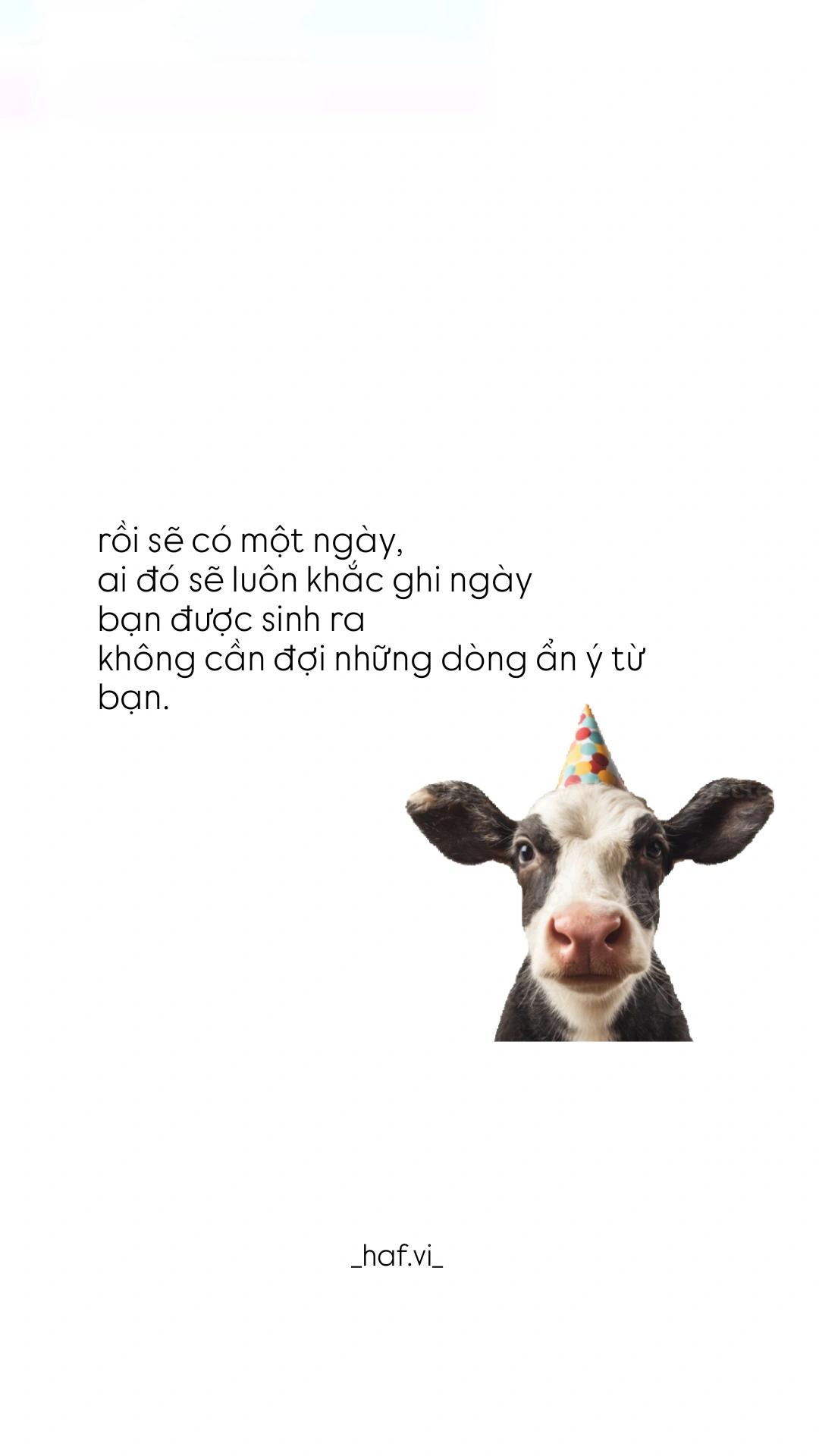 @vi