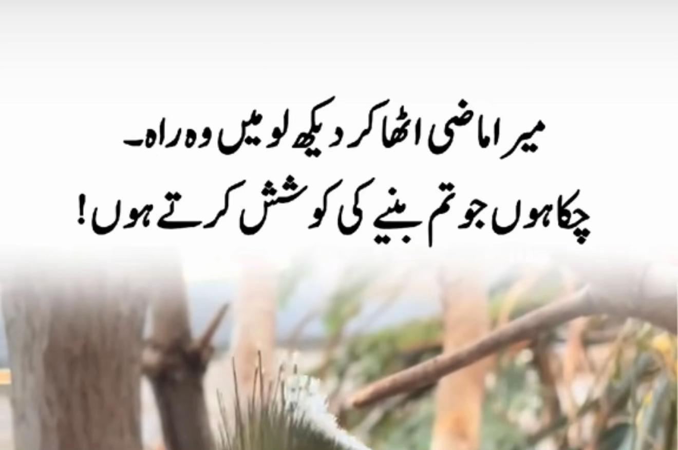 @فیصل کی زوجہ💋🥰❤️