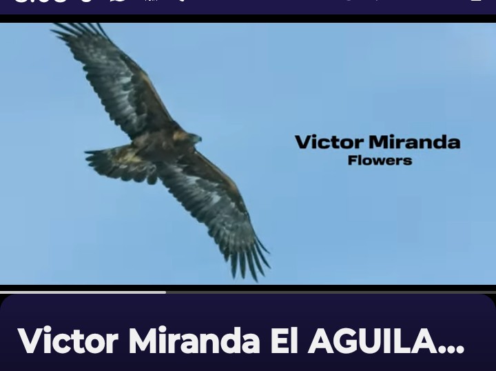 @VictorMiranda🎤