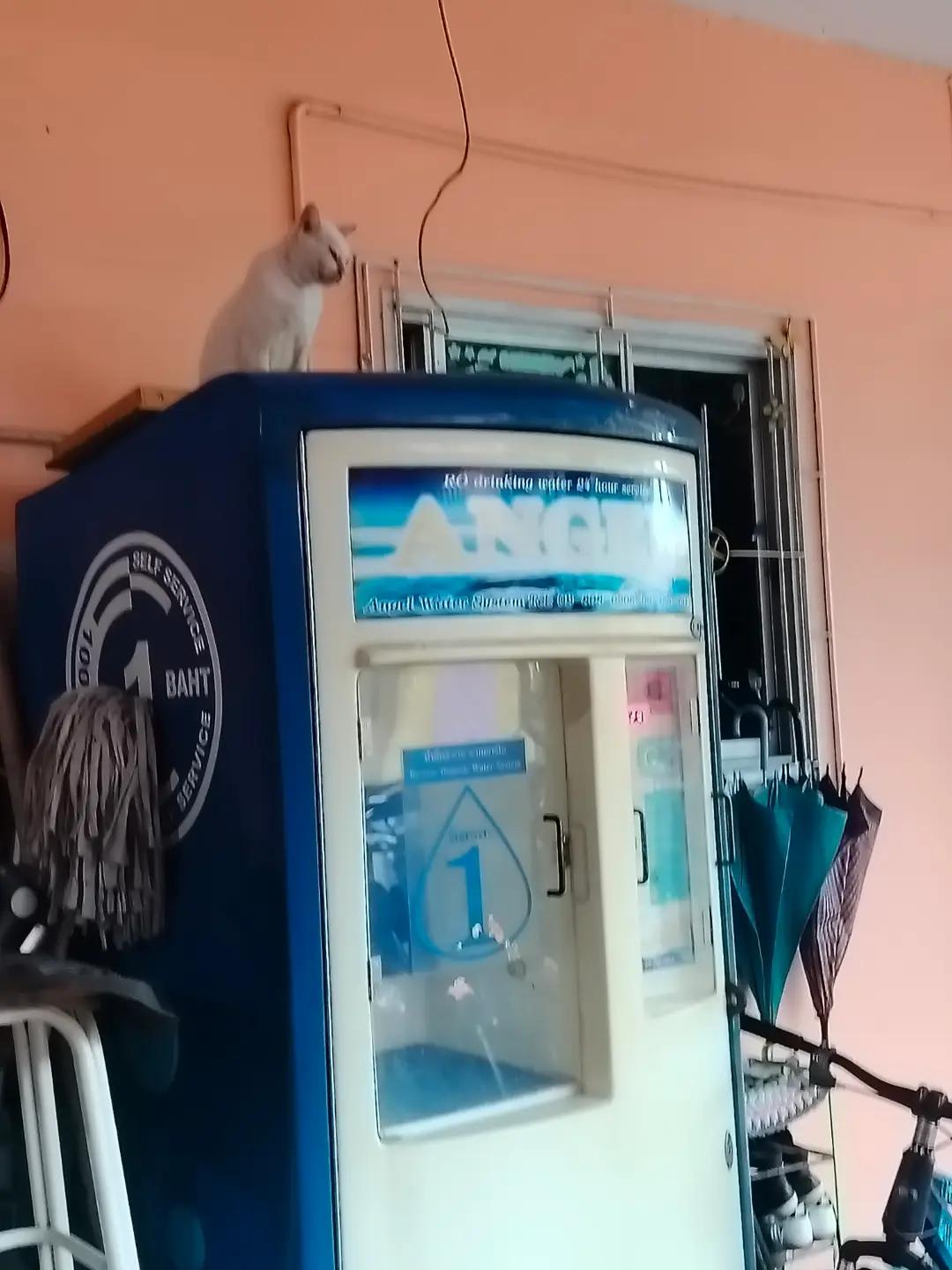 @เคอาร์