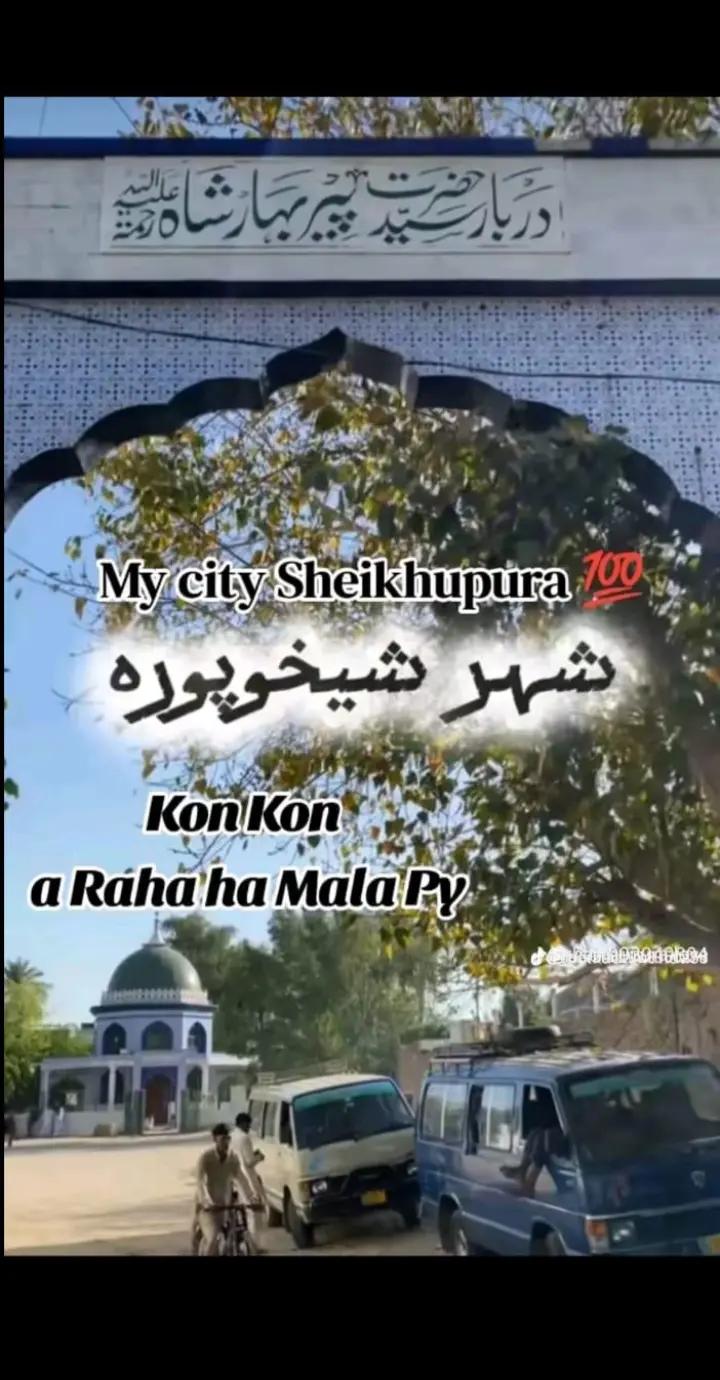 @murshad chiniot ala