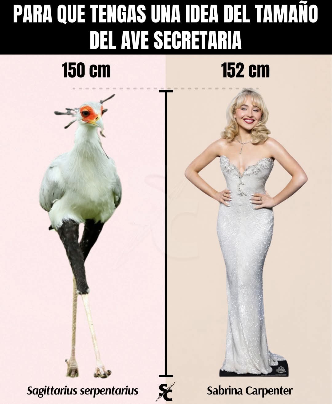 @Porque soy Biólogo