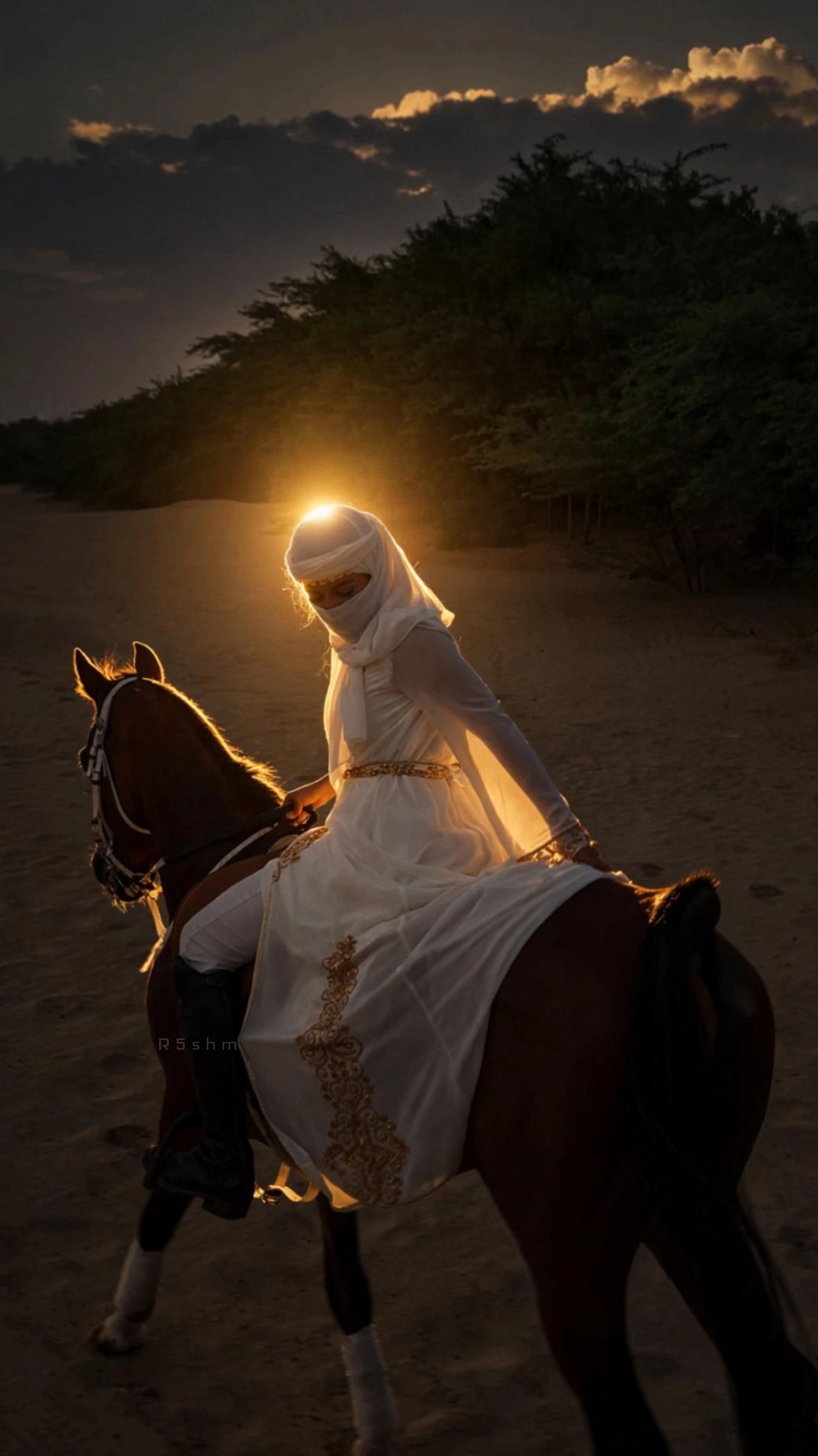 @ميكاسَا العَرب 🌟