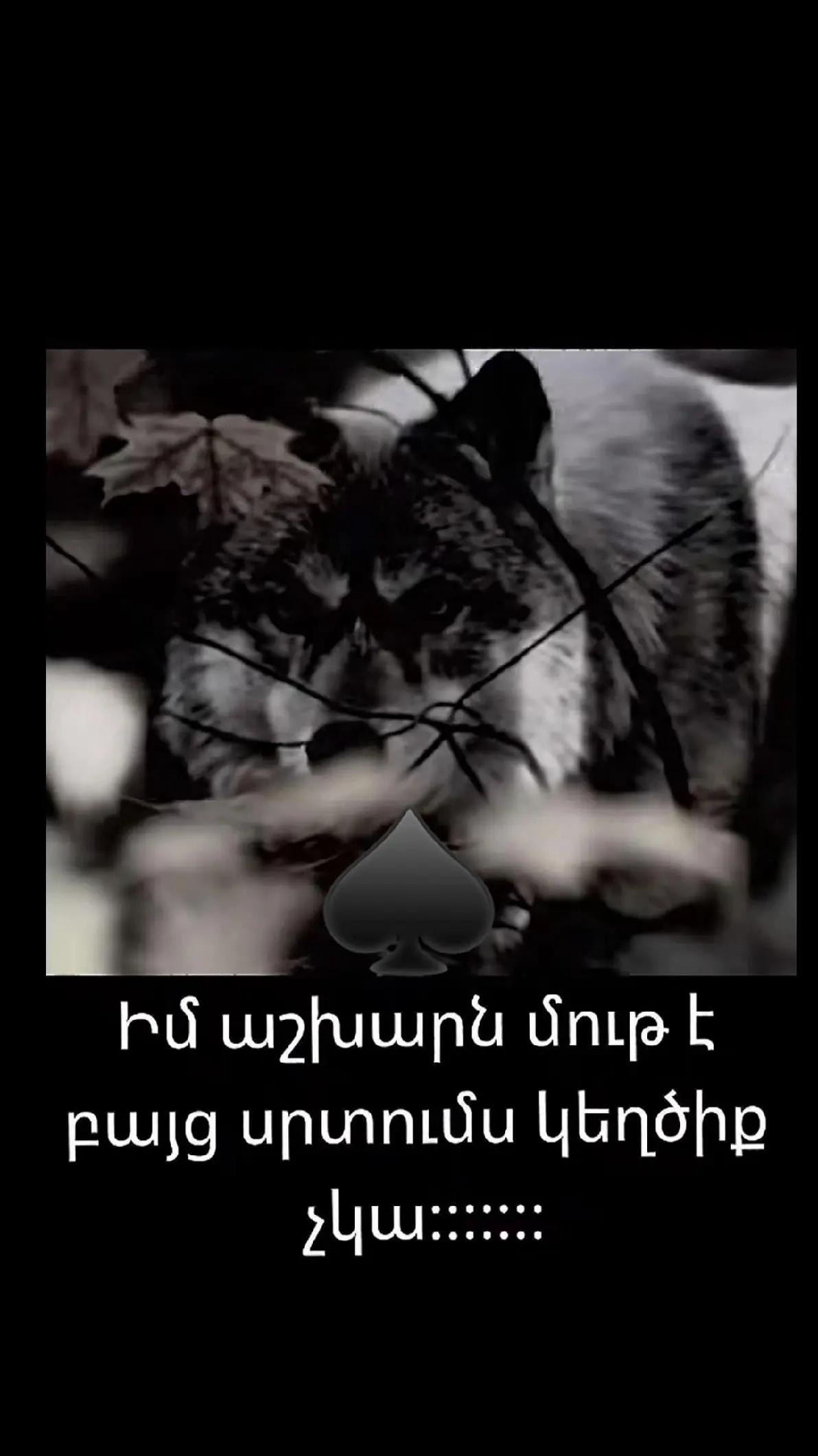 @Petros