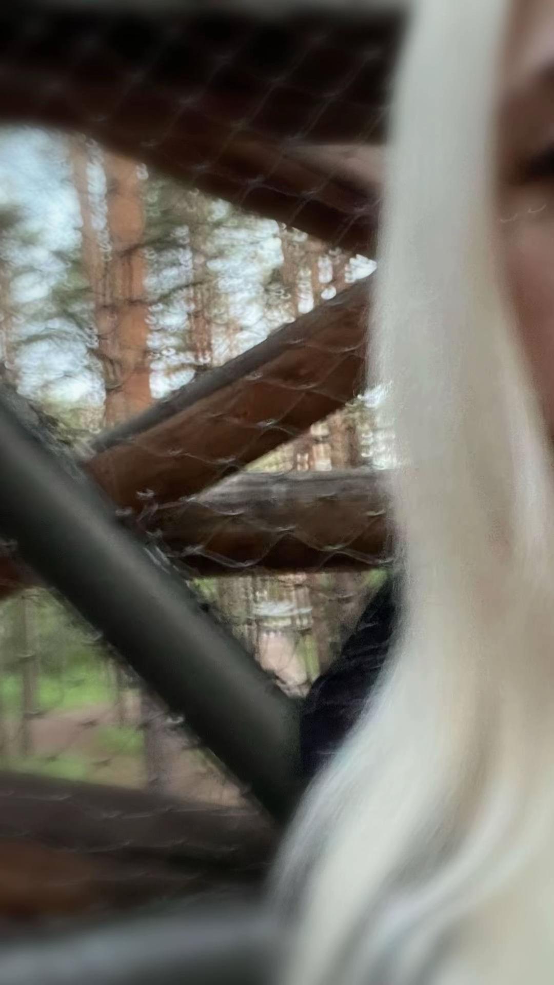 @пипидастр