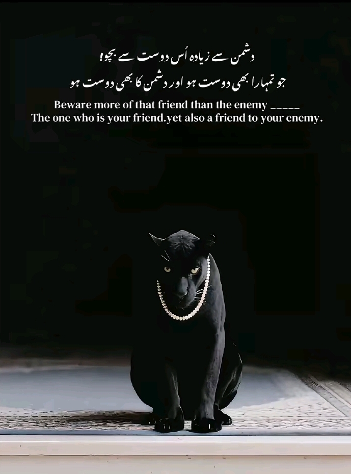 @Chotta Malik 333☠️
