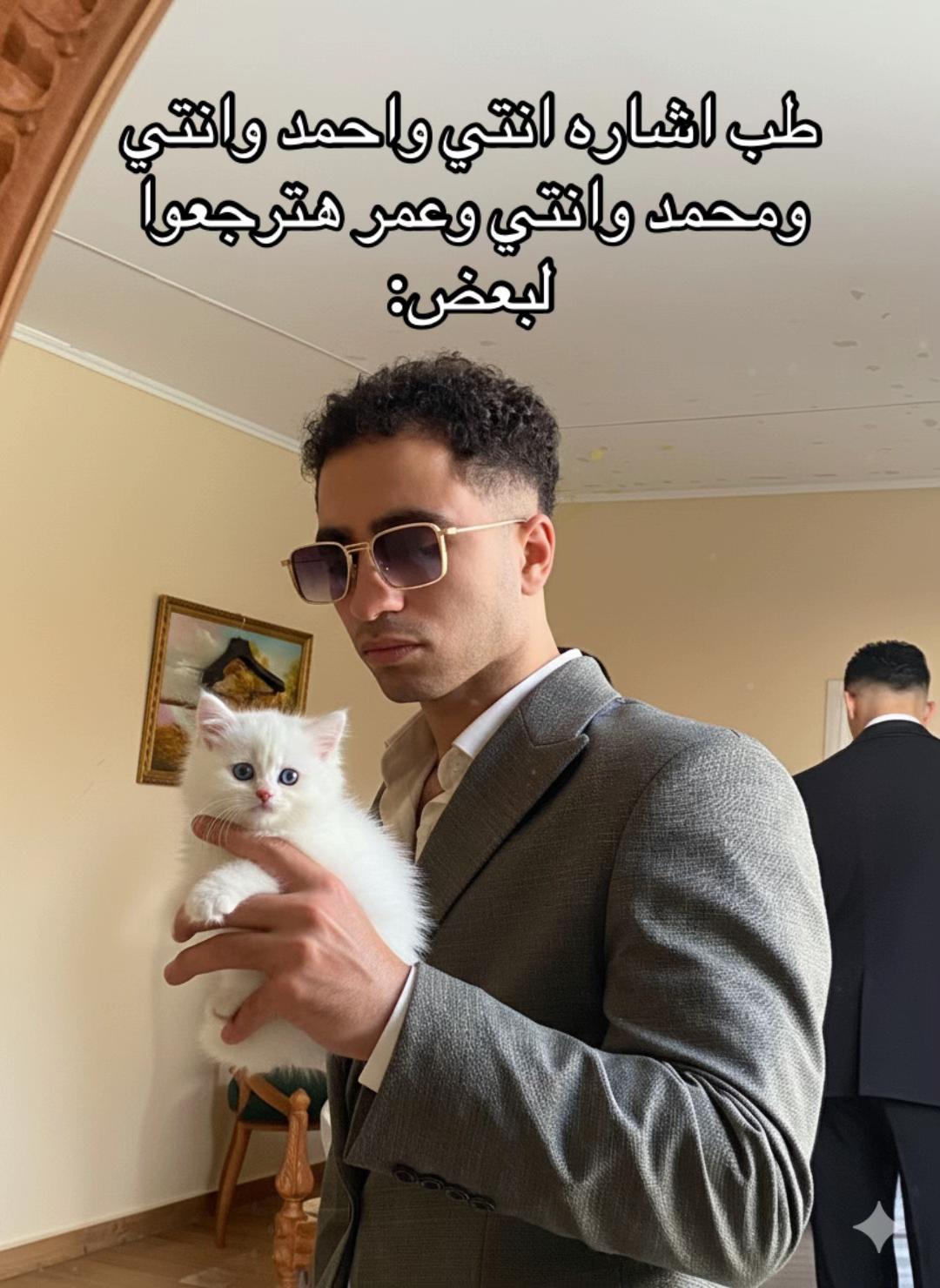 @mushahmedadel