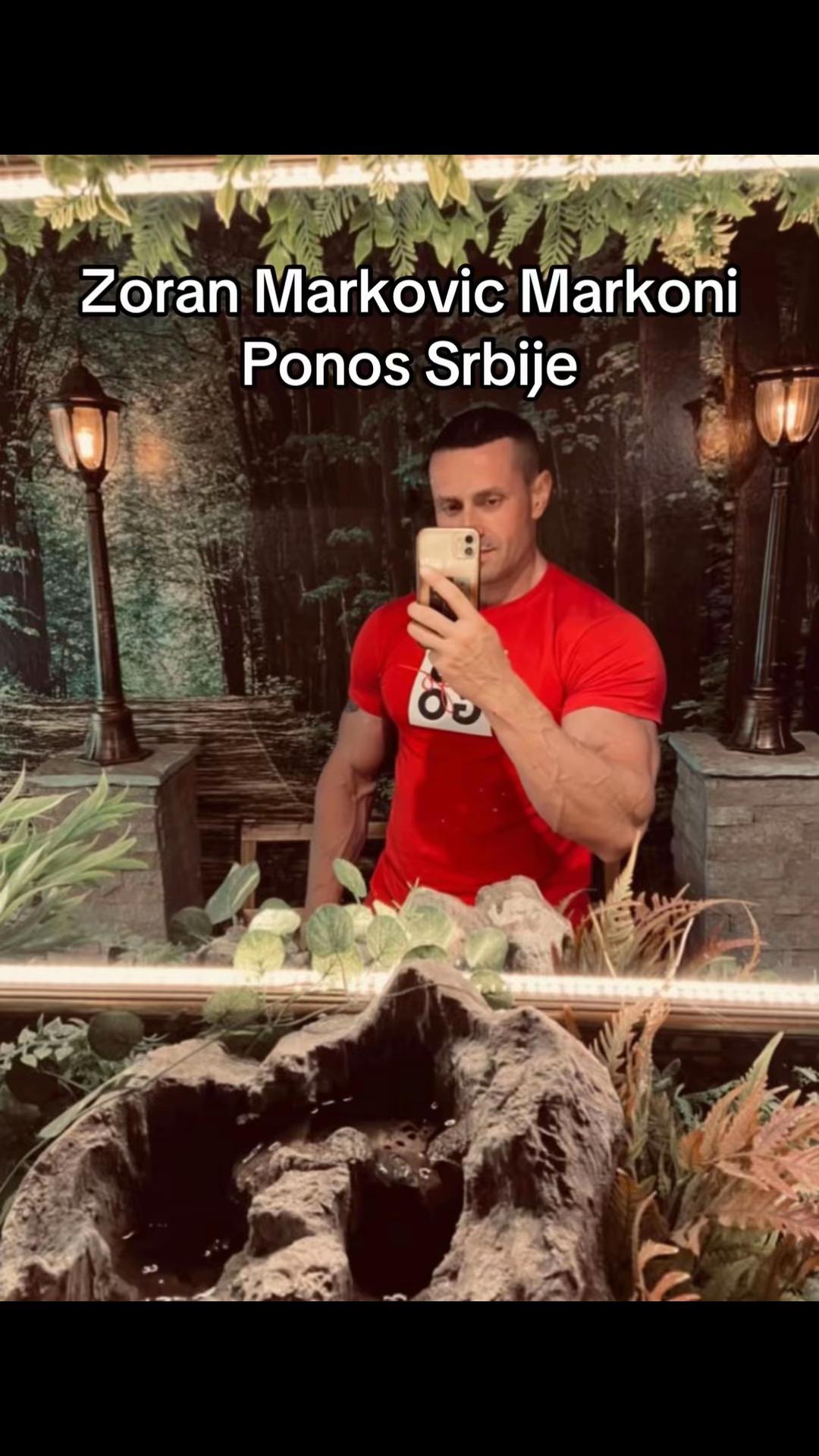 @balkan_bodybuilding