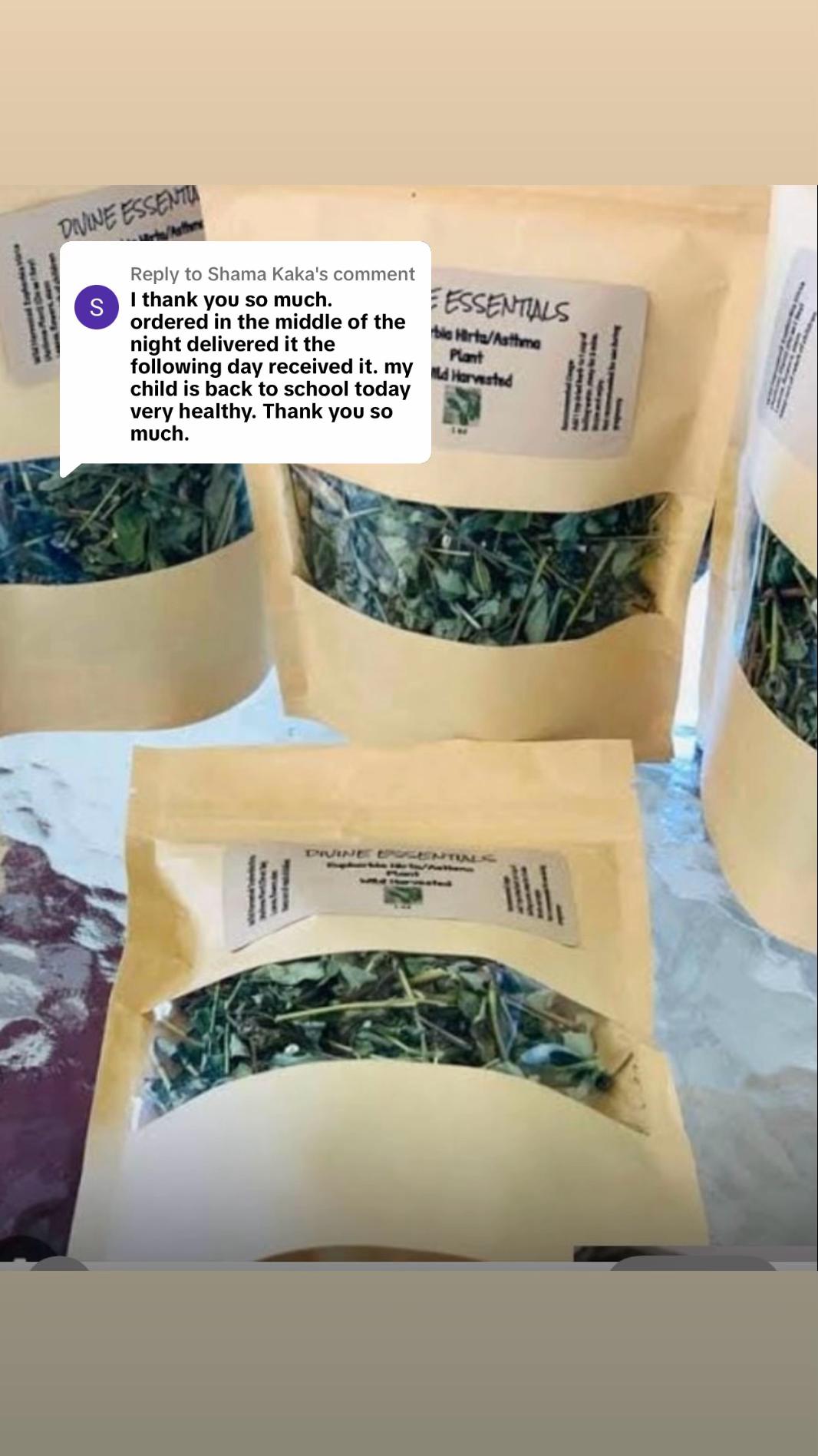@Asthma-plant_herbalshop