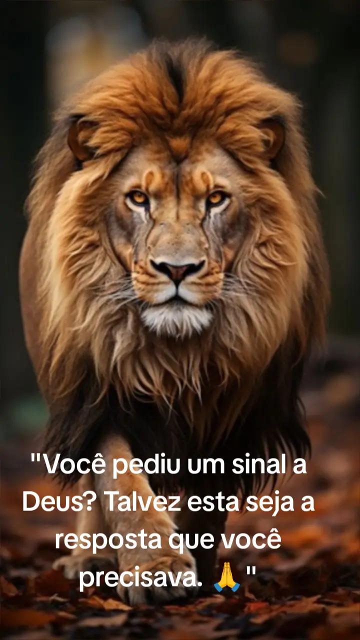 @📖 Versículos ✝️ Palavra Viva