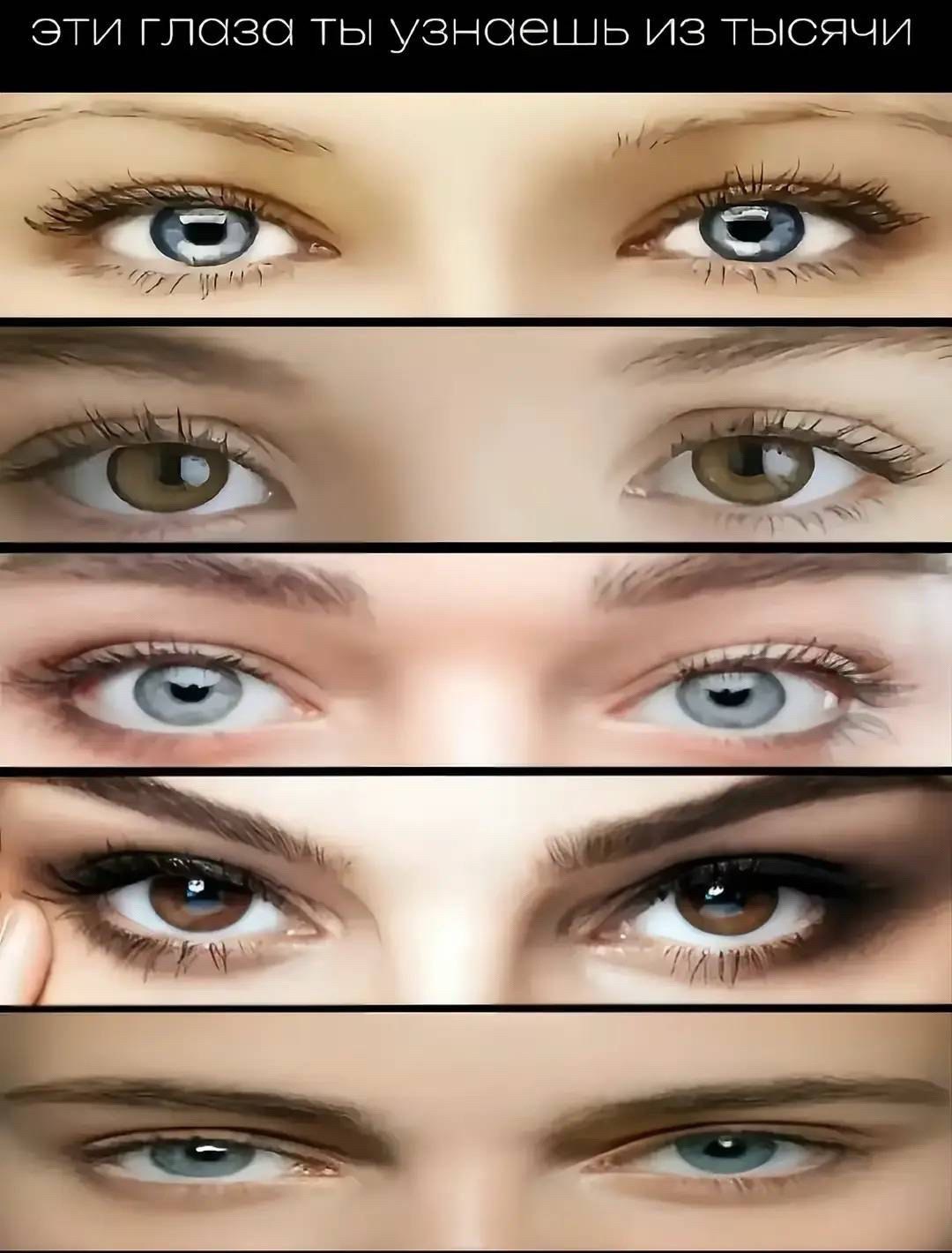 @𝐦𝐞𝐫𝐜𝐨𝐯𝐬𝐤𝐲
