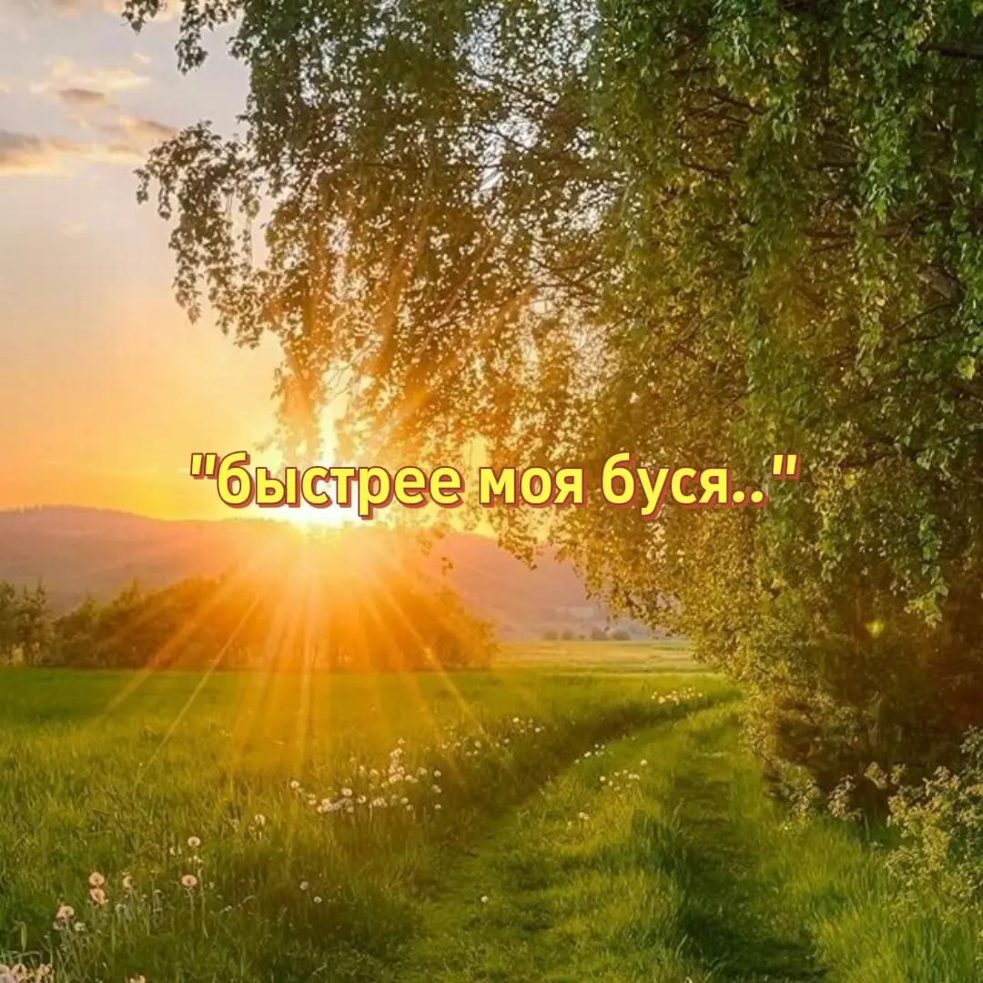 @тгк: zi9ota