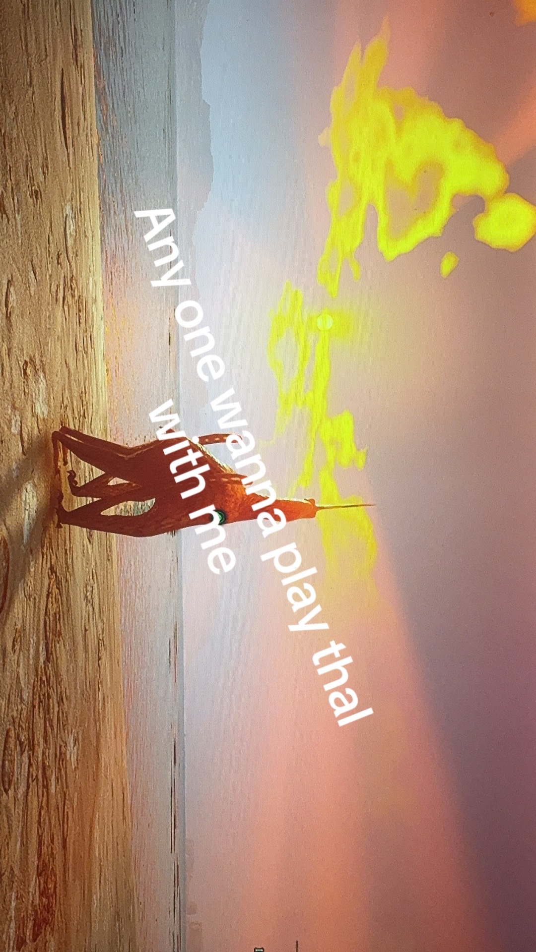 @Loaf of bread/laif๐ซ๐ฉ๐ซ๐ฉ๐จ
