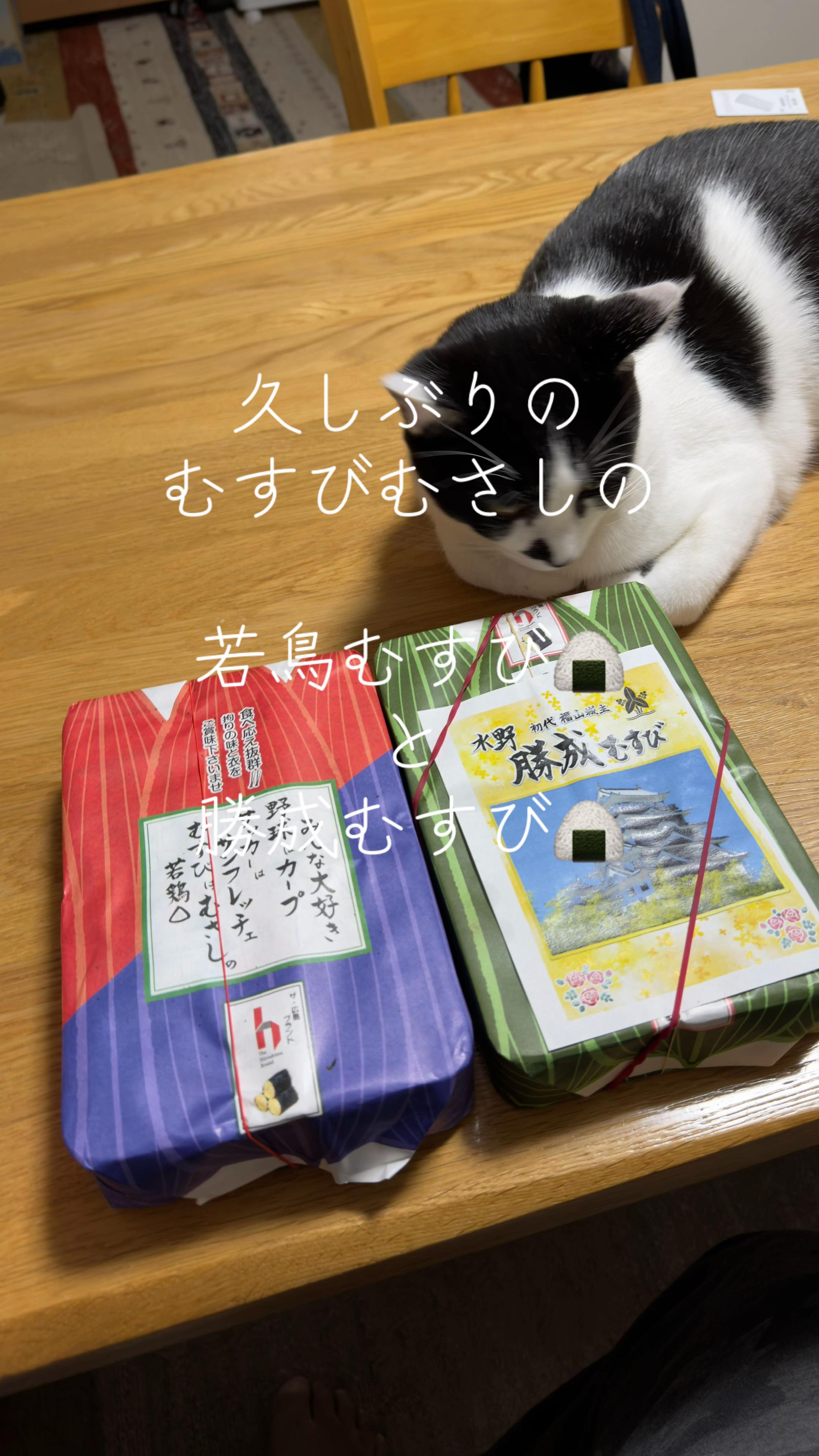 @達磨寅次郎