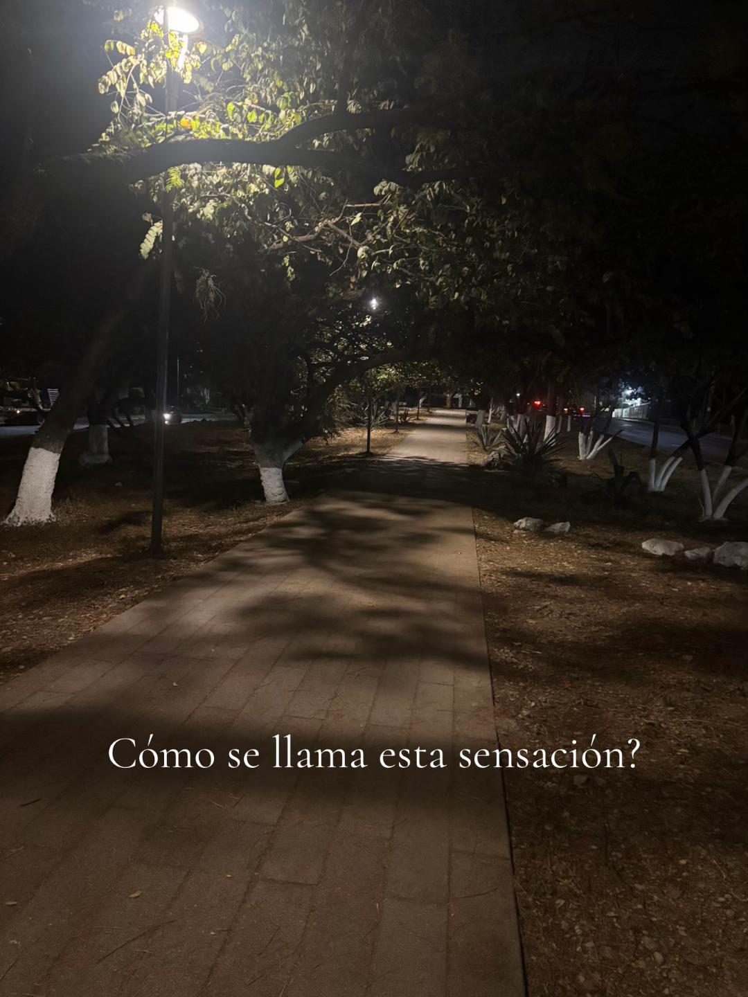 @Maxi.xlvr