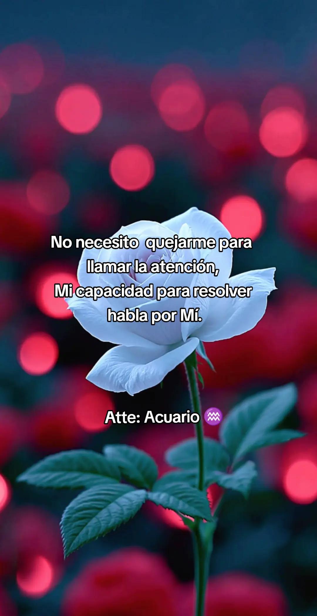 @QullaquitaDelia