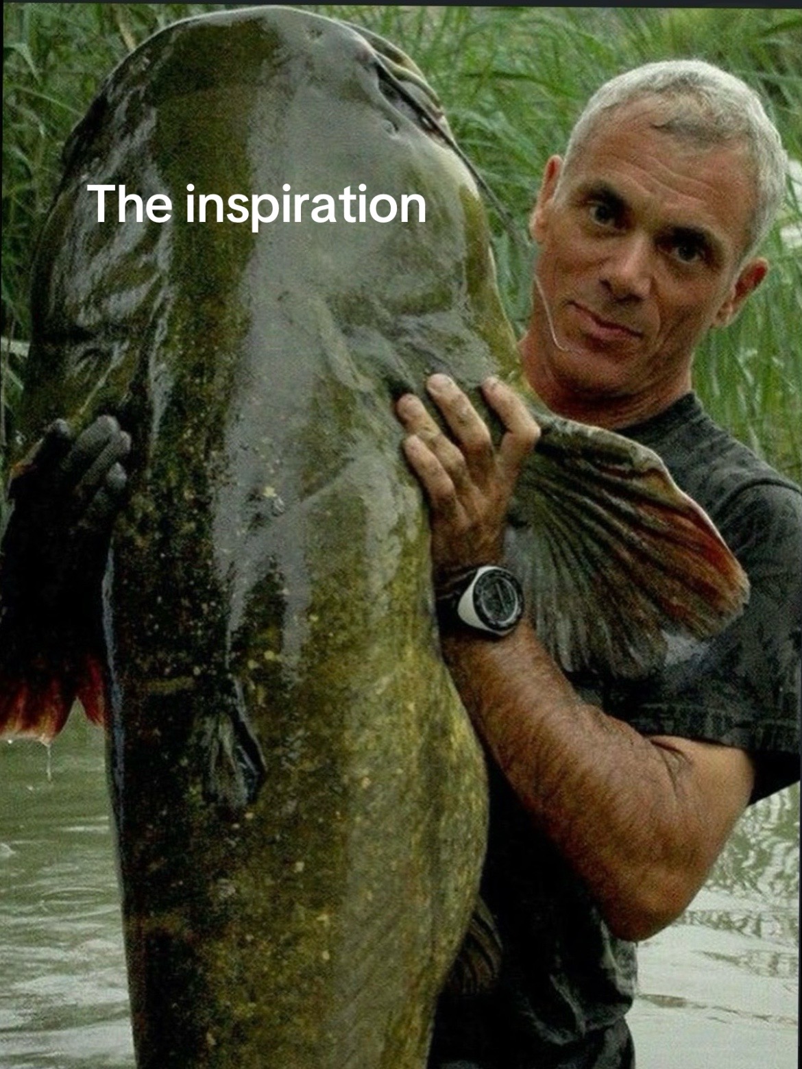 @￼