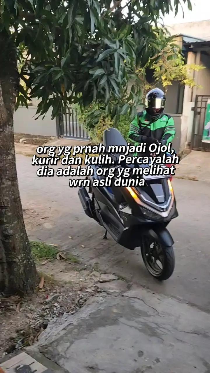 @๐ฑ๐คโ๐๐ผ๐๐๐ผ