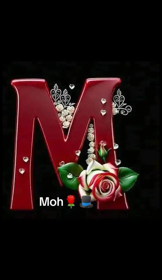 @Moh Mohamed753