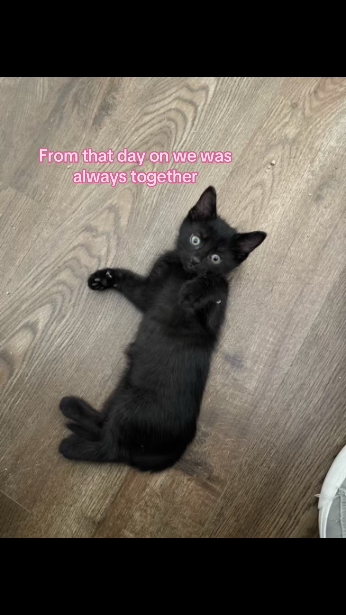 @;