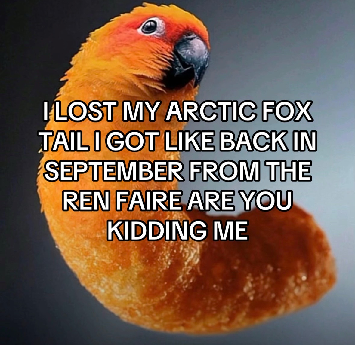 @𝓑𝓮𝓵𝓯𝓸𝓻𝓽