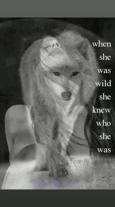 @DragonfliesAndSunflowers68